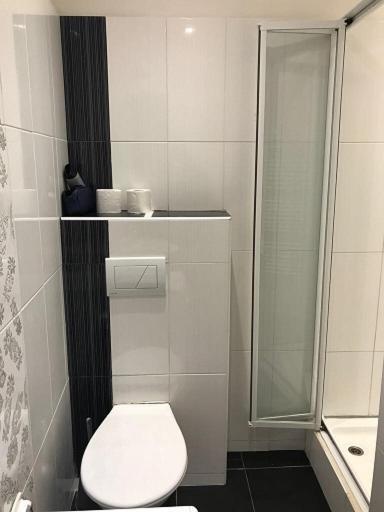 Stara Louka Apartments Karlovy Vary Eksteriør bilde